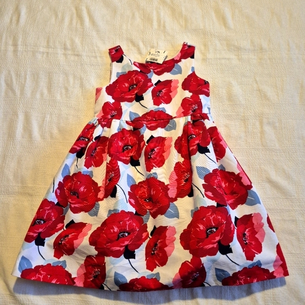 Janie and Jack girls size 3 Poppy Park lined dress NWT